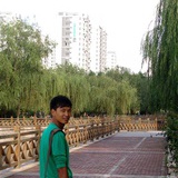 瘦马