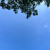 星辰大海小兔子