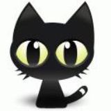 大猫Felix