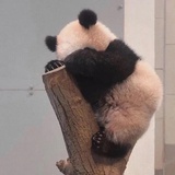 晨落幽谷