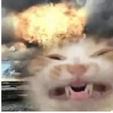 月亮圆我也圆