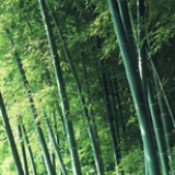 君不妄