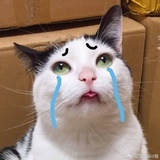 ⠀