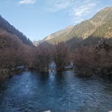 Kosuke