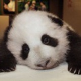Peter潘