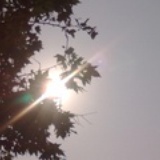 leeven