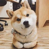 小四月