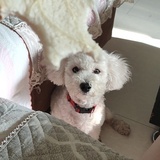 我执