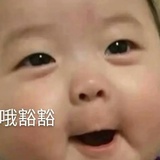 今天吃了油饼