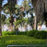 yueyue