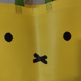 苡米苡米