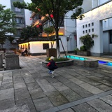 可乐喜欢上树