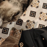 达达の杀猪菜🐟