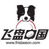 飞盘中国