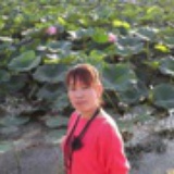 爱。飘零