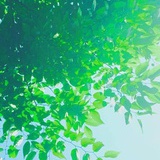 故闲愁
