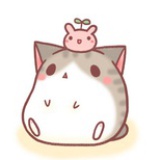 卡文