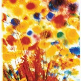 hum_folder