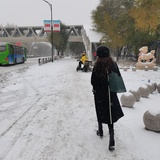斜杠青年