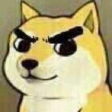 蛋白