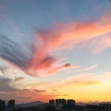 水母水母