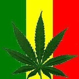拾叁暴躁兔子