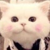 Queena牙