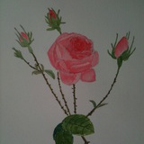 antique
