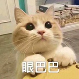拔丝企鹅