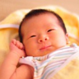 虾米春