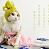 大灰狼的家长
