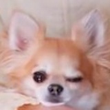比克小魔王
