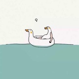 长泽鸭美来看鸭