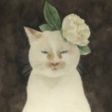 神户猪