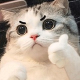 巧克力牛奶