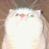 yrntltsatare