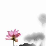 夕虫