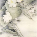 觅者
