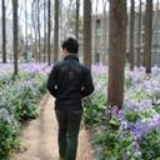 实习大爷