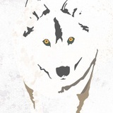 白牙