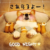pandda