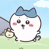 豆腐仔