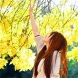 木木