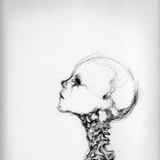 Thegiraffe