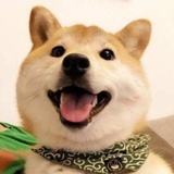 stcdd
