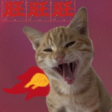 chacha