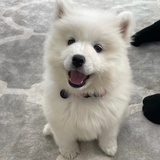 doeeyes