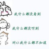 猪哥