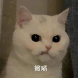 弗拉维亚