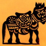 尾鳍
